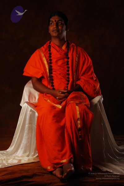 File:2008 SY14245 CMP WM.jpg