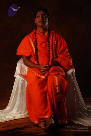 2008 SY14246 CMP WM.jpg