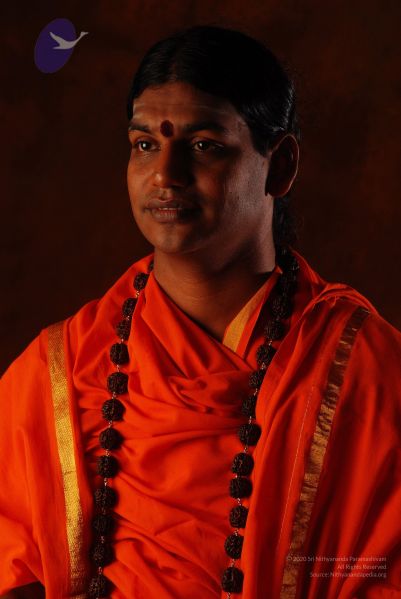 File:2008 SY14247 CMP WM.jpg