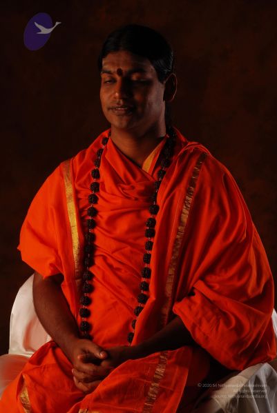 File:2008 SY14249 CMP WM.jpg