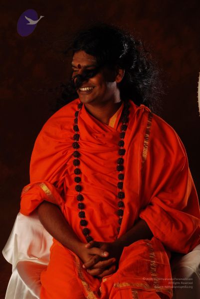 File:2008 SY14253 CMP WM.jpg