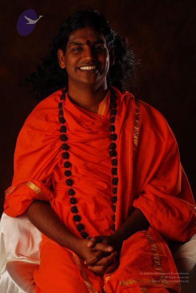 File:2008 SY14255 CMP WM.jpg