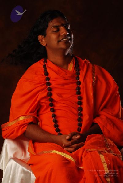 File:2008 SY14261 CMP WM.jpg