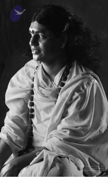 File:2008 SY14275n CMP WM.jpg