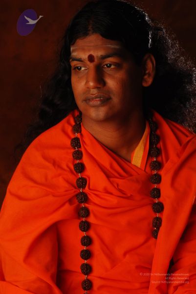 File:2008 SY14279 CMP WM.jpg