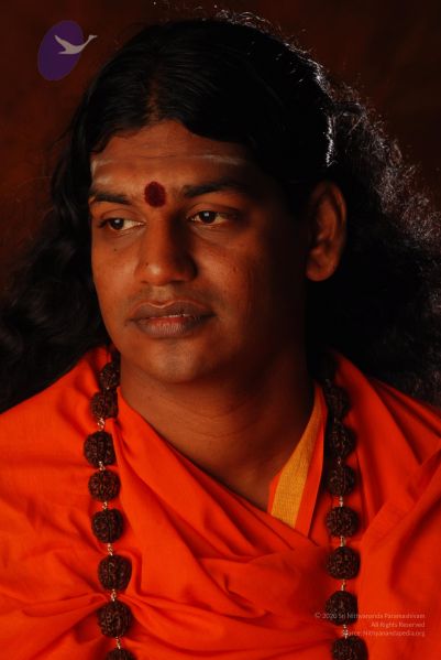 File:2008 SY14280 CMP WM.jpg