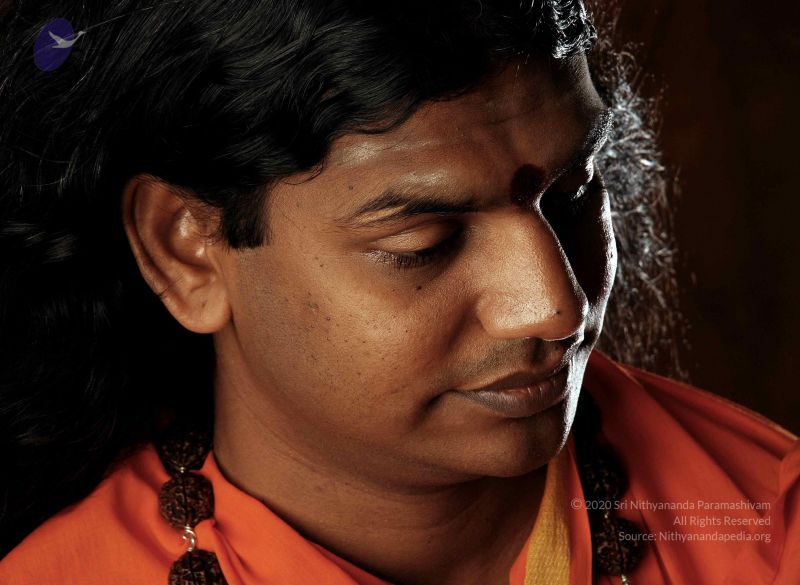 File:2008 SY14286n CMP WM.jpg