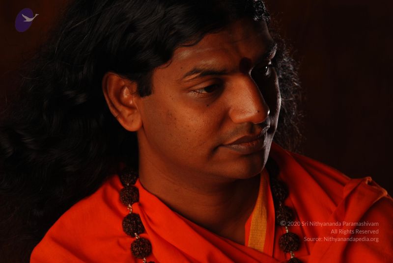 File:2008 SY14287 CMP WM.jpg