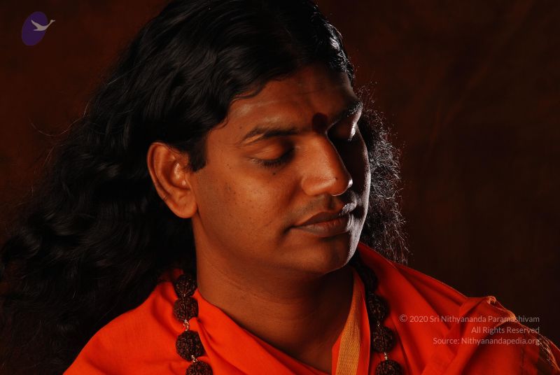 File:2008 SY14289 CMP WM.jpg