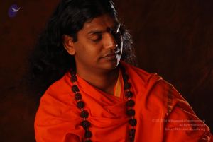 2008 SY14290 CMP WM.jpg