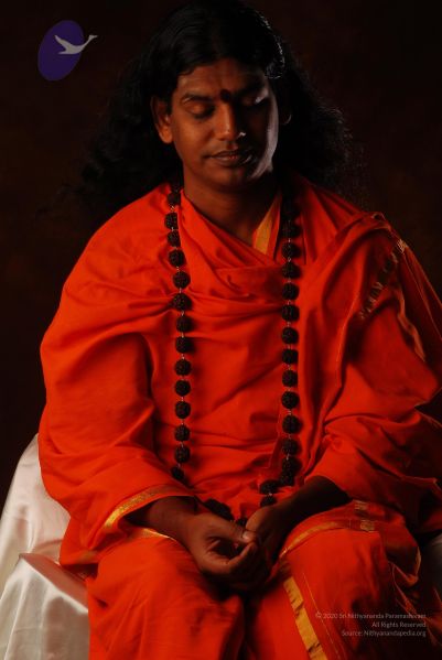 File:2008 SY14301 CMP WM.jpg