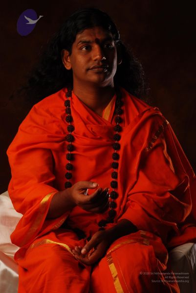 File:2008 SY14302 CMP WM.jpg