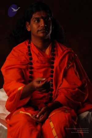 2008 SY14303 CMP WM.jpg