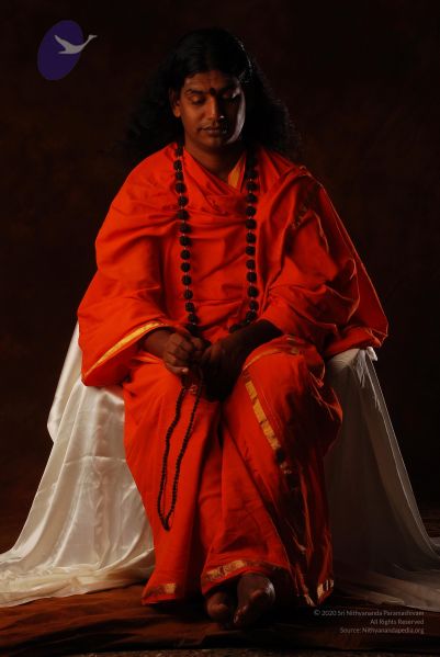 File:2008 SY14306 CMP WM.jpg