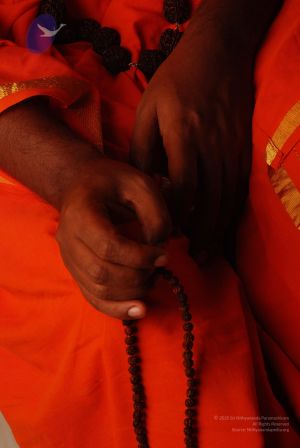 2008 SY14308 CMP WM.jpg