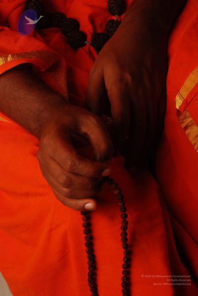 File:2008 SY14308 CMP WM.jpg