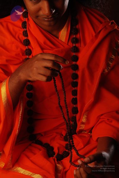 File:2008 SY14310 CMP WM.jpg