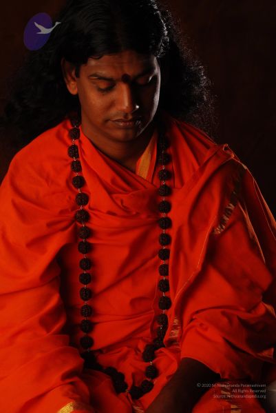 File:2008 SY14313 CMP WM.jpg