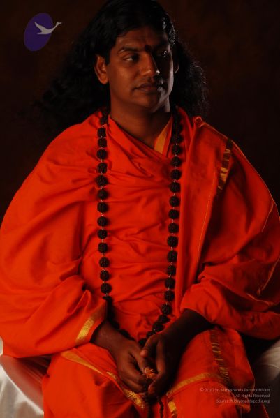 File:2008 SY14319 CMP WM.jpg