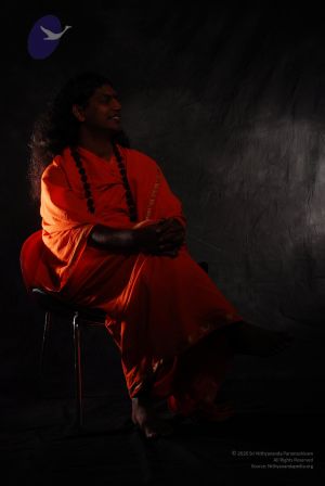 2008 SY14329 CMP WM.jpg