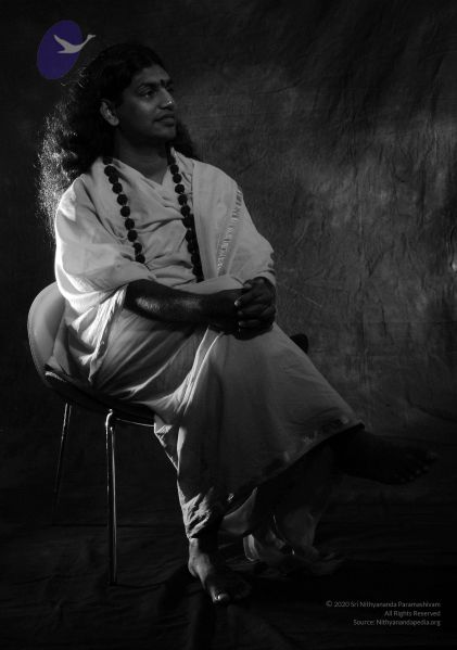 File:2008 SY14333n CMP WM.jpg