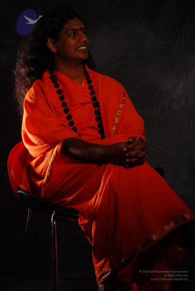 File:2008 SY14336 CMP WM.jpg