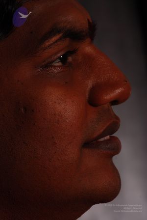 2008 SY14345 CMP WM.jpg