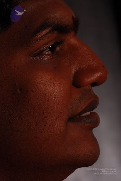 File:2008 SY14345 CMP WM.jpg