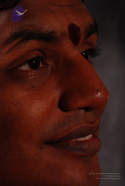 File:2008 SY14351 CMP WM.jpg