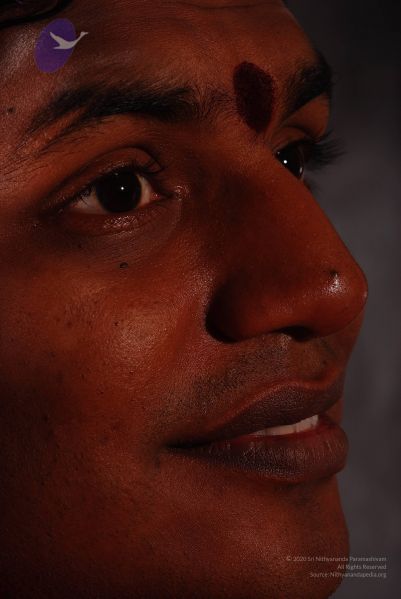 File:2008 SY14352 CMP WM.jpg