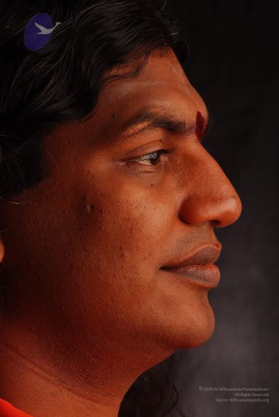 File:2008 SY14357 CMP WM.jpg