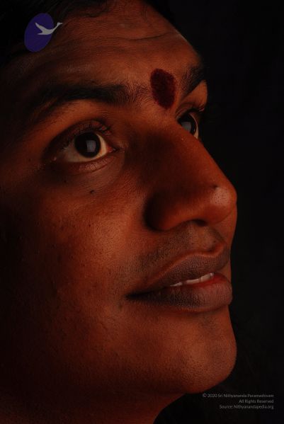 File:2008 SY14359 CMP WM.jpg