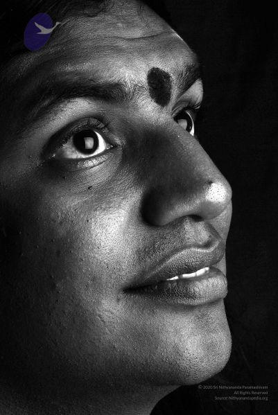 File:2008 SY14359n CMP WM.jpg