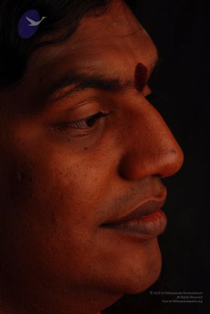 2008 SY14360 CMP WM.jpg