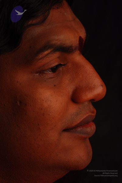 File:2008 SY14361 CMP WM.jpg