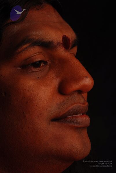 File:2008 SY14364 CMP WM.jpg