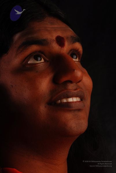 File:2008 SY14367 CMP WM.jpg