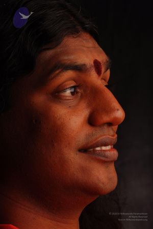 2008 SY14369 CMP WM.jpg