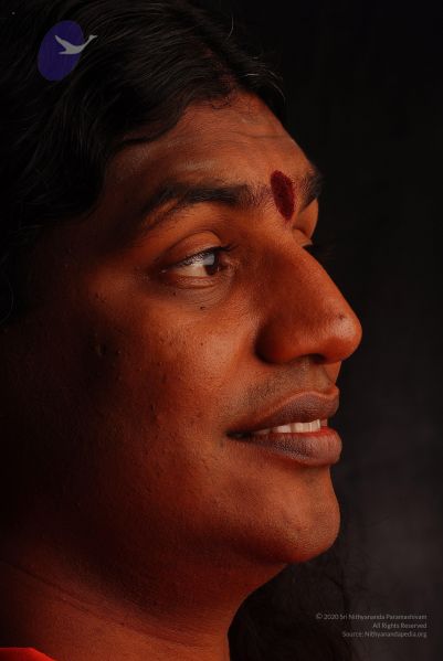 File:2008 SY14369 CMP WM.jpg