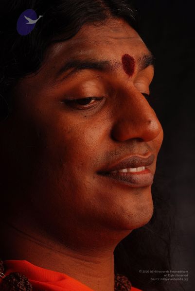 File:2008 SY14370 CMP WM.jpg