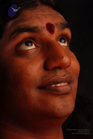 2008 SY14371 CMP WM.jpg