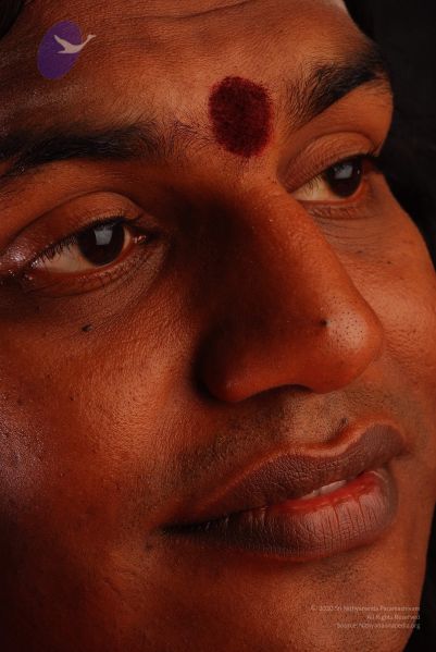 File:2008 SY14373 CMP WM.jpg