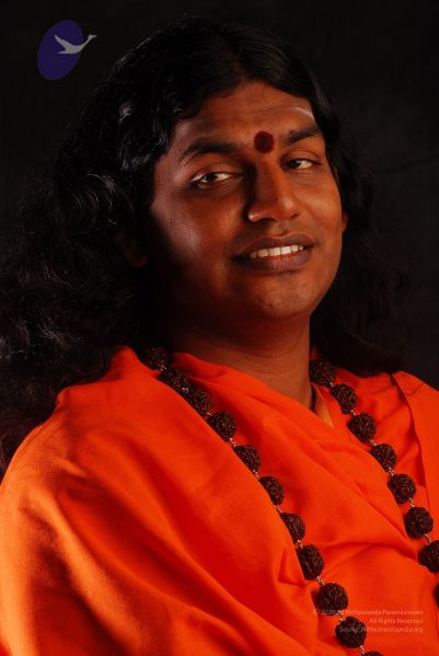 File:2008 SY14391 CMP WM.jpg