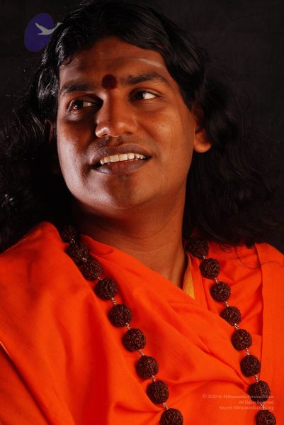 File:2008 SY14396 CMP WM.jpg