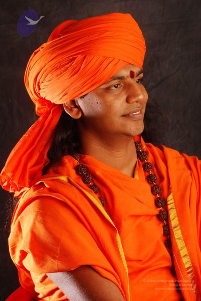 File:2008 SY14397 CMP WM.jpg