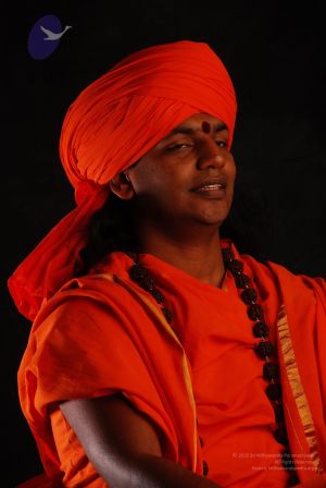 2008 SY14401 CMP WM.jpg