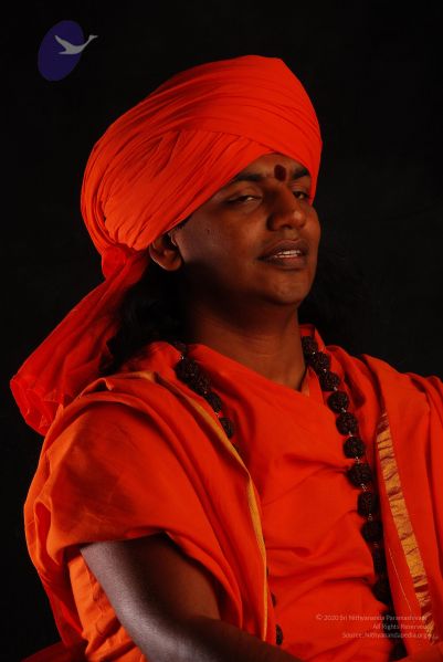 File:2008 SY14401 CMP WM.jpg