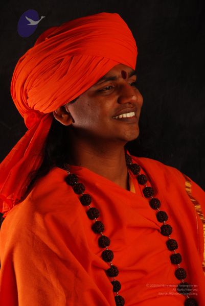 File:2008 SY14419 CMP WM.jpg