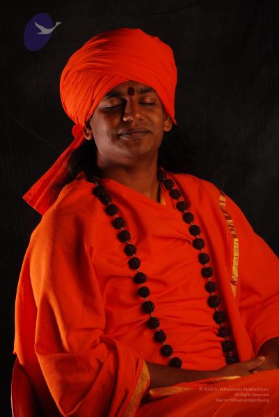 File:2008 SY14423 CMP WM.jpg