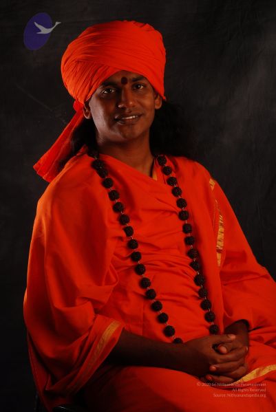 File:2008 SY14426 CMP WM.jpg